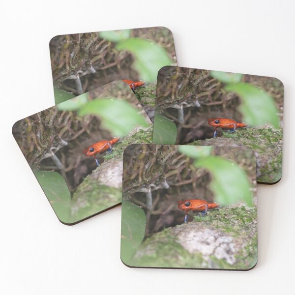 Item preview, Strawberry Poison Dart Frog – Tiny Red and Blue Wild Frog on Mossy Log in Rainforest designed and sold by WildFrameNature.