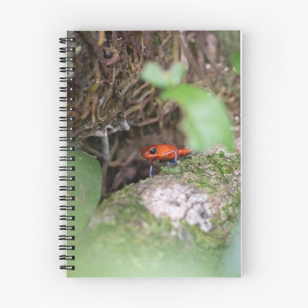 Item preview, Strawberry Poison Dart Frog – Tiny Red and Blue Wild Frog on Mossy Log in Rainforest designed and sold by WildFrameNature.