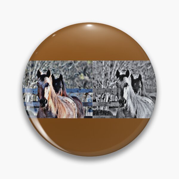 Item preview, Dual Perspectives designed and sold by PhotogalTravels.