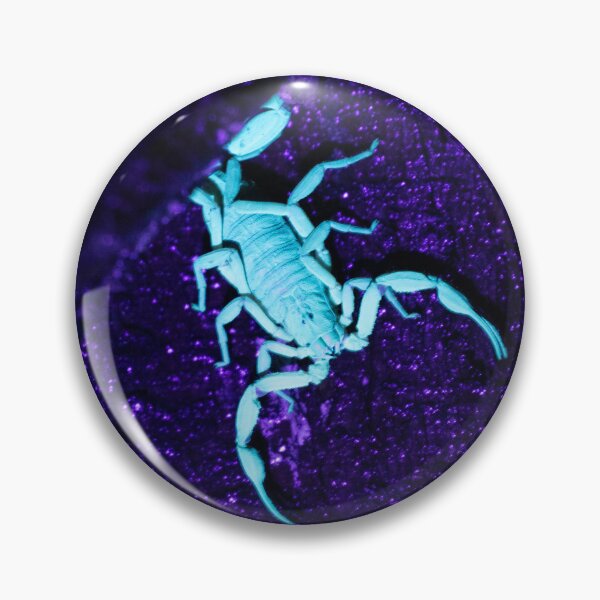 Item preview, Glowing Scorpion Under UV Light – Neon Cyan Scorpion on Purple Rock at Night designed and sold by WildFrameNature.