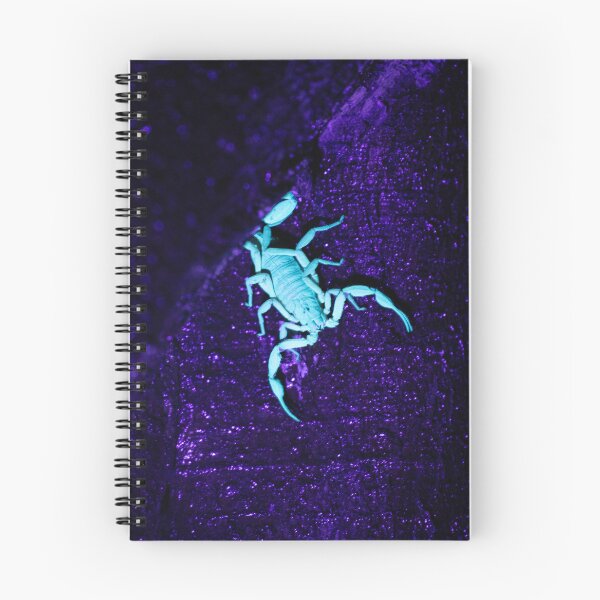 Item preview, Glowing Scorpion Under UV Light – Neon Cyan Scorpion on Purple Rock at Night designed and sold by WildFrameNature.
