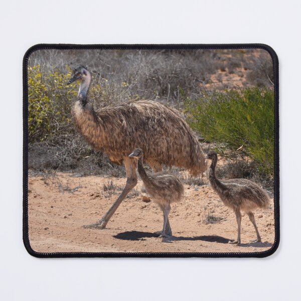 Item preview, Emu Family in the Australian Outback – Wild Emu with Two Chicks Walking in Red Desert Scrubland designed and sold by WildFrameNature.