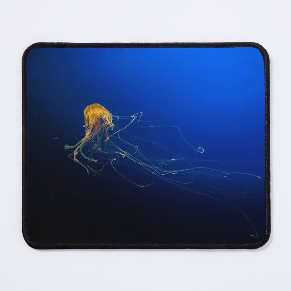 Item preview, Single Yellow Jellyfish Photographic Print designed and sold by Mother-Nature65.