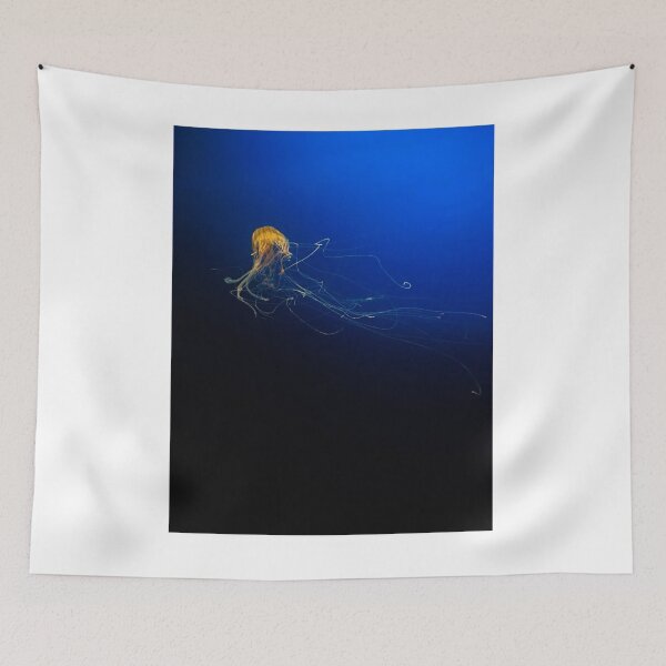 Item preview, Single Yellow Jellyfish Photographic Print designed and sold by Mother-Nature65.