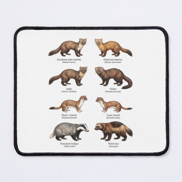Item preview, Mustelid Species designed and sold by ArunDandiboina.