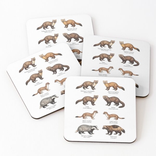 Item preview,  Mustelid Species designed and sold by ArunDandiboina.