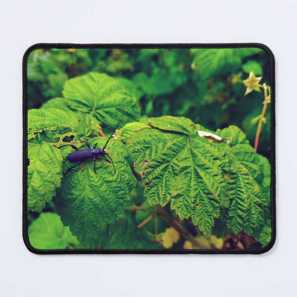 Item preview, Beetle in raspberries photo designed and sold by Sky-99.