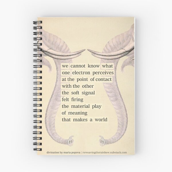 Item preview, Elephant Divination by Maria Popova (about: reweavingtherainbow.substack.com) designed and sold by mariapopova.