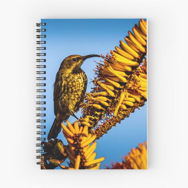 Item preview, Amethyst Sunbird on Aloe - Vibrant African Bird and Flower Photography, Kruger National Park designed and sold by Johnathan Robinson Photography.