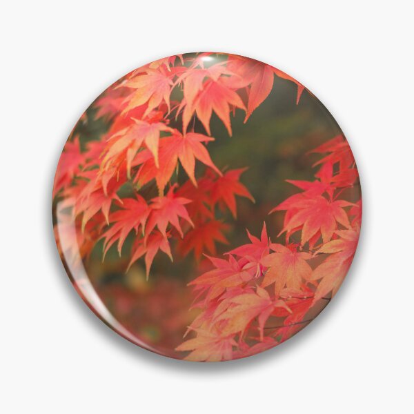 Item preview, Japanese Red Maple designed and sold by David Bowman.