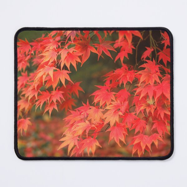 Item preview, Japanese Red Maple designed and sold by David Bowman.