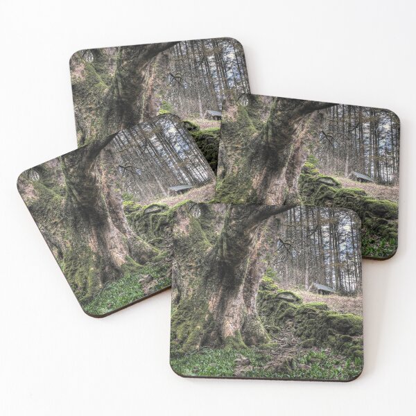 Item preview, Glenariff Forest designed and sold by Nigel R Bell Photography.