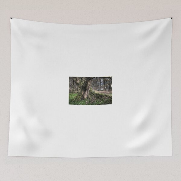Item preview, Glenariff Forest designed and sold by Nigel R Bell Photography.