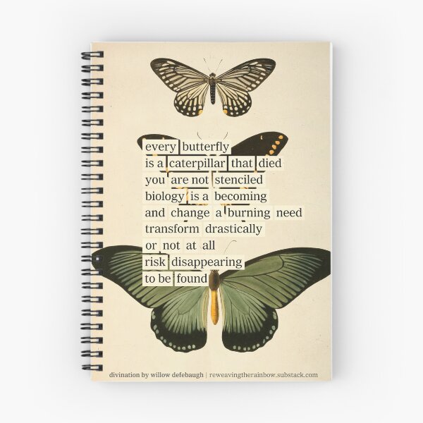 Item preview, Butterfly Divination by Willow Defebaugh (about: reweavingtherainbow.substack.com) designed and sold by mariapopova.