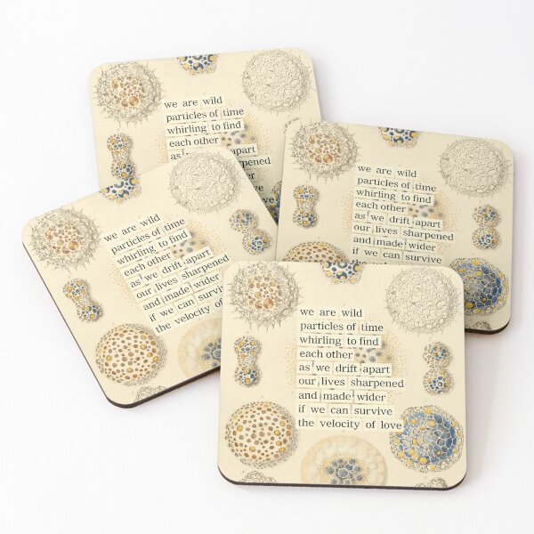 Item preview, Radiolaria Divination by Maria Popova (about: reweavingtherainbow.substack.com) designed and sold by mariapopova.