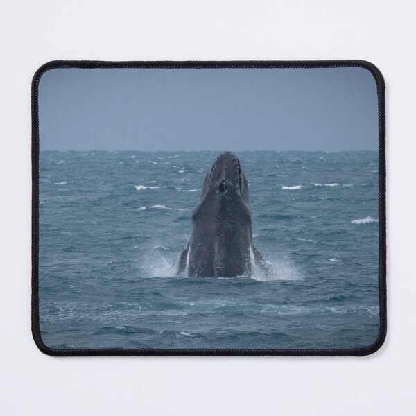 Item preview, Humpback Whale Spy Hopping – Wild Whale Rising from Ocean Surface in Open Sea designed and sold by WildFrameNature.