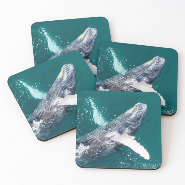 Item preview, Humpback Whale Close-Up Aerial – Drone Portrait of Wild Whale Head and Pectoral Fin in Turquoise Sea designed and sold by WildFrameNature.