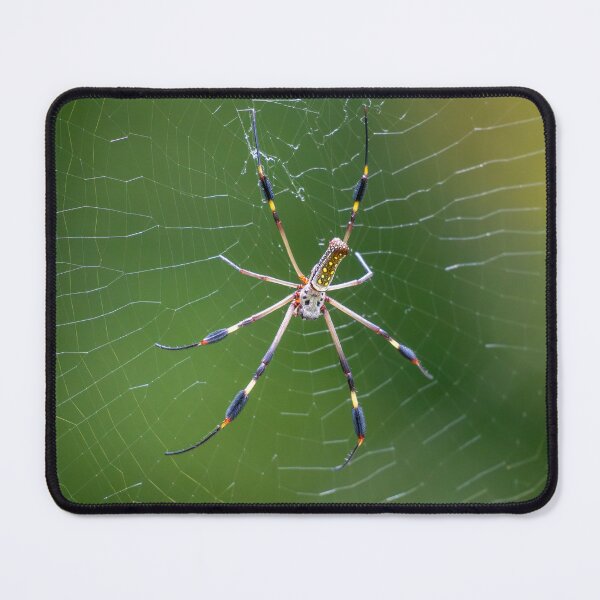 Item preview, Golden Silk Orb-Weaver Spider – Colorful Wild Spider on Web in Tropical Rainforest designed and sold by WildFrameNature.