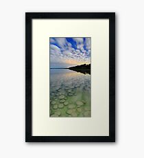 Lake Clifton Thrombolites Under Moonlight Framed Print
