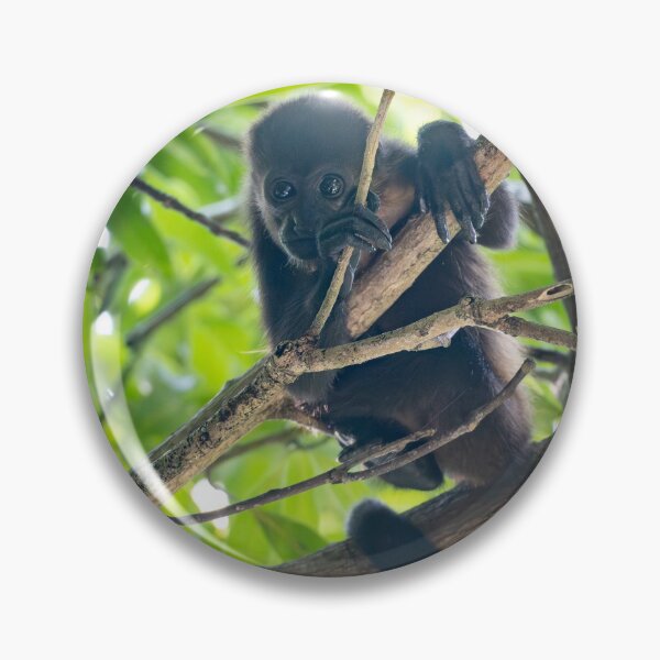 Item preview, Baby Howler Monkey in the Rainforest – Cute Wild Infant Monkey Clinging to Branch in Jungle Canopy designed and sold by WildFrameNature.