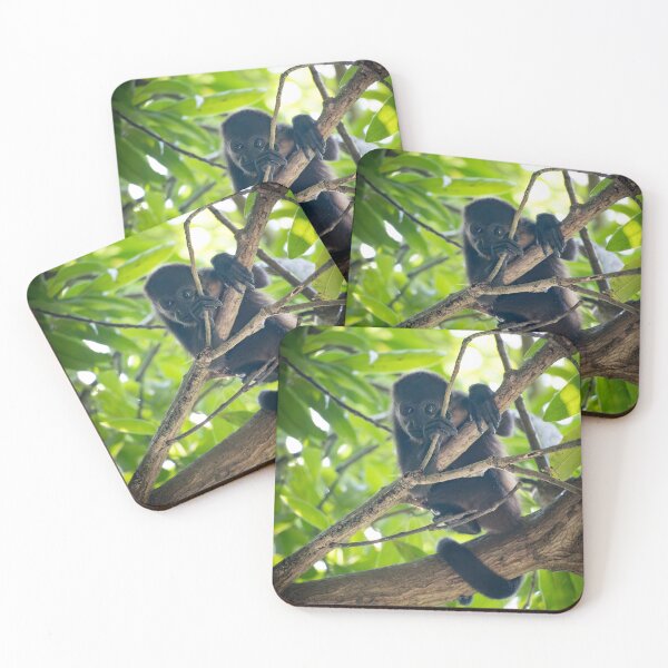 Item preview, Baby Howler Monkey in the Rainforest – Cute Wild Infant Monkey Clinging to Branch in Jungle Canopy designed and sold by WildFrameNature.