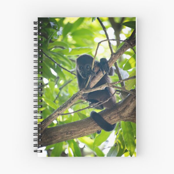 Item preview, Baby Howler Monkey in the Rainforest – Cute Wild Infant Monkey Clinging to Branch in Jungle Canopy designed and sold by WildFrameNature.