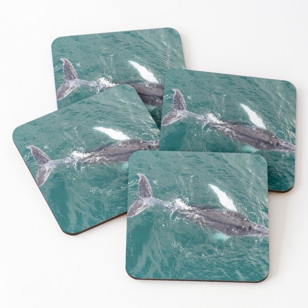 Item preview, Humpback Whale Calf Aerial – Drone View of Baby Whale Swimming at Ocean Surface designed and sold by WildFrameNature.