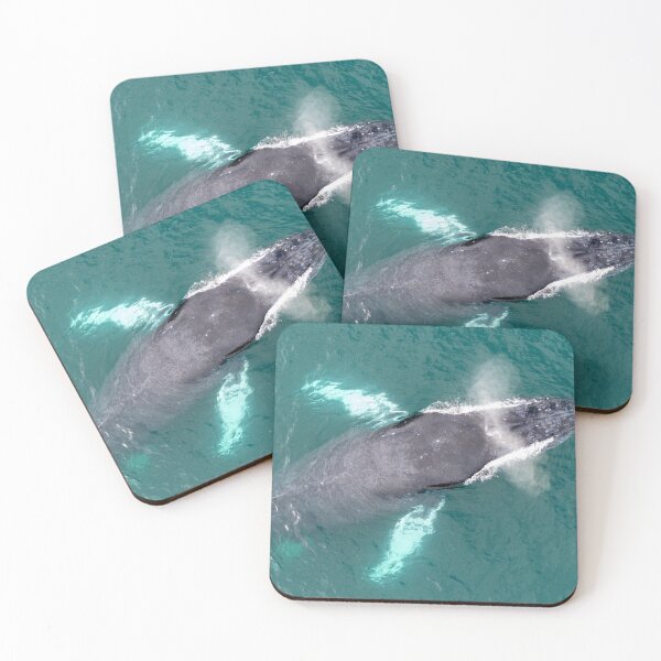 Item preview, Humpback Whale Blowing – Aerial Drone View of Wild Whale Surfacing and Spouting in Turquoise Ocean designed and sold by WildFrameNature.