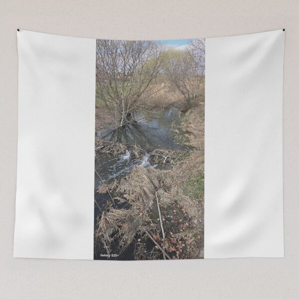 Item preview, Peaceful Spring Creek Landscape designed and sold by Buf79.