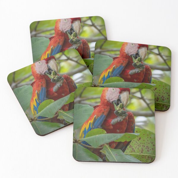 Item preview, Scarlet Macaw Eating in Tropical Jungle – Vibrant Red Parrot Wildlife Photography designed and sold by WildFrameNature.