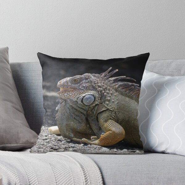 Item preview, Green Iguana Lizard Close-Up – Tropical Reptile Wildlife Photography designed and sold by WildFrameNature.