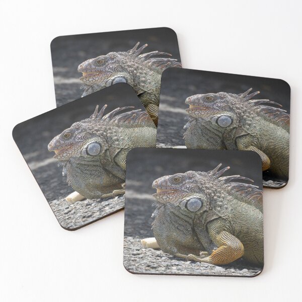 Item preview, Green Iguana Lizard Close-Up – Tropical Reptile Wildlife Photography designed and sold by WildFrameNature.