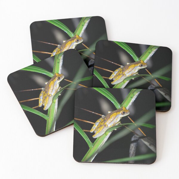 Item preview, Clown Tree Frog on Tropical Leaf – Colorful Rainforest Amphibian Wildlife Photography designed and sold by WildFrameNature.