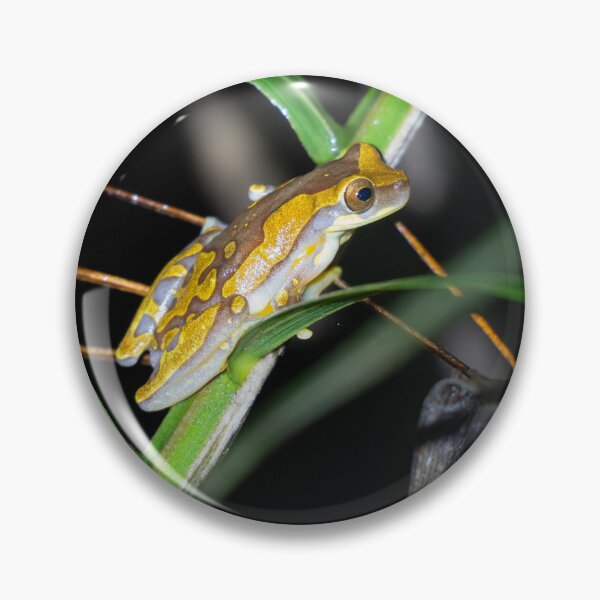 Item preview, Clown Tree Frog on Tropical Leaf – Colorful Rainforest Amphibian Wildlife Photography designed and sold by WildFrameNature.