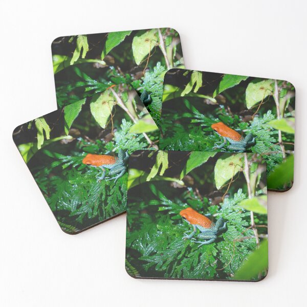 Item preview, Strawberry Poison Dart Frog on Tropical Fern – Colorful Rainforest Amphibian Photography designed and sold by WildFrameNature.