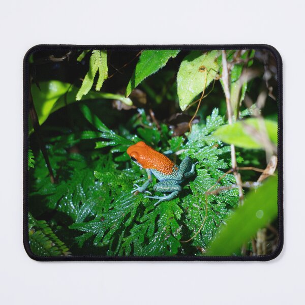 Item preview, Strawberry Poison Dart Frog on Tropical Fern – Colorful Rainforest Amphibian Photography designed and sold by WildFrameNature.