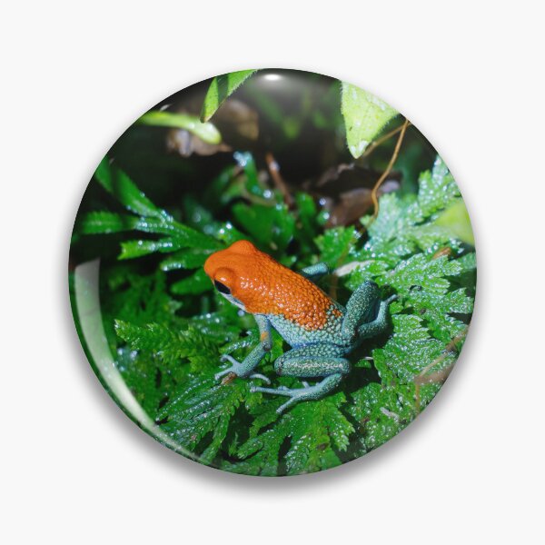 Item preview, Strawberry Poison Dart Frog on Tropical Fern – Colorful Rainforest Amphibian Photography designed and sold by WildFrameNature.