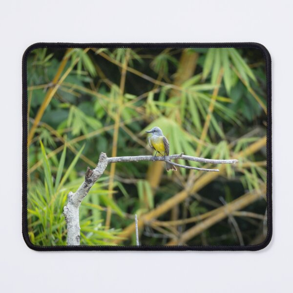 Item preview, Tropical Kingbird on Branch – Yellow Rainforest Bird Wildlife Photography designed and sold by WildFrameNature.