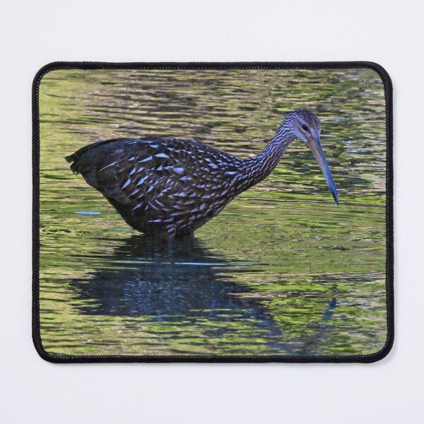 Item preview, Limpkin Green  designed and sold by Glennphotos.