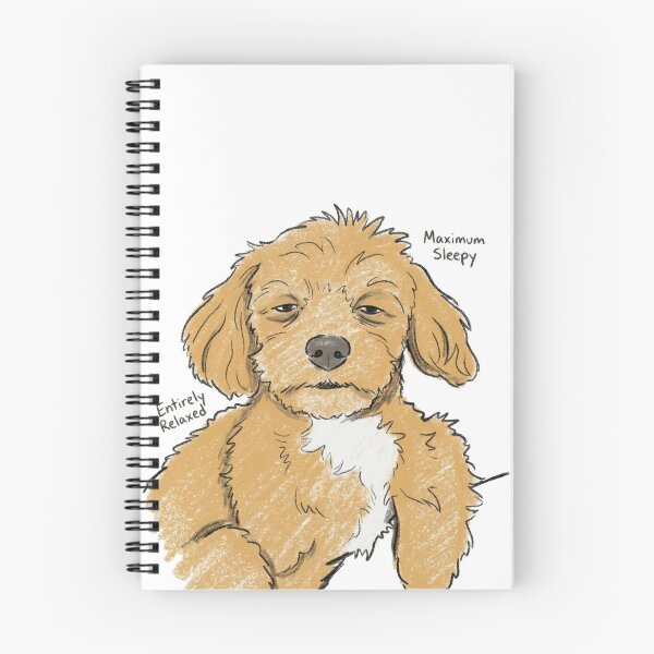 Item preview, Vintage Sketch Maximum Sleepy Maltipoo Dog designed and sold by Flying Doggo.