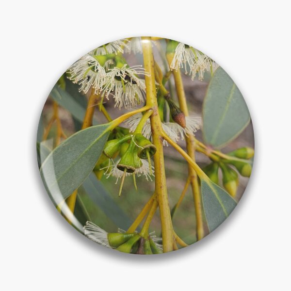 Item preview, Eucalypt Blossom Autumn 2026 designed and sold by Danni's Delights.