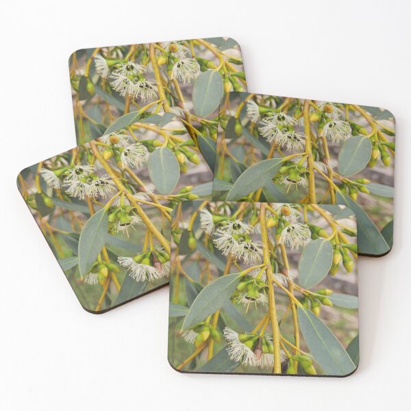 Item preview, Eucalypt Blossom Autumn 2026 designed and sold by Danni's Delights.