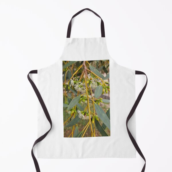 Item preview, Eucalypt Blossom Autumn 2026 designed and sold by Danni's Delights.