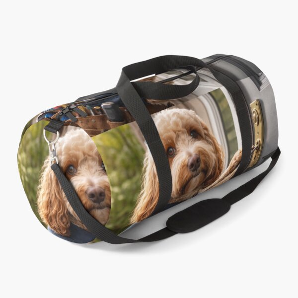 Item preview, Cockapoo Locksmith Picking Door Lock designed and sold by Paul Thompson Photography.