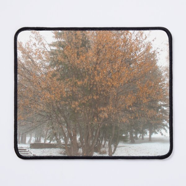 Item preview, the tree in the fog designed and sold by Sestriere.