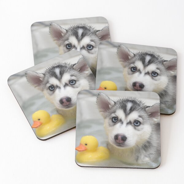 Item preview, Husky in bath designed and sold by ArtfulPlay.