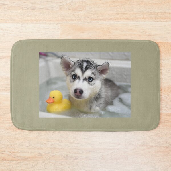 Item preview, Husky in bath designed and sold by ArtfulPlay.