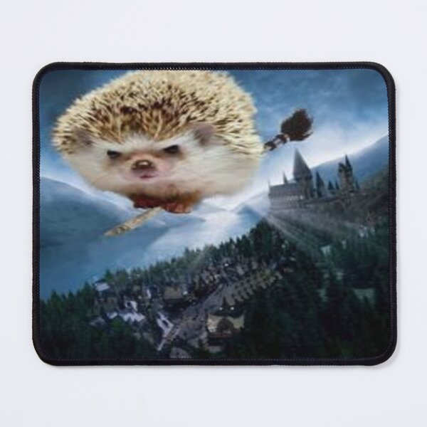 Item preview, Realistic Flying Hedgehog on Magic Broom in Fantasy Landscape designed and sold by FotoworldEdel.