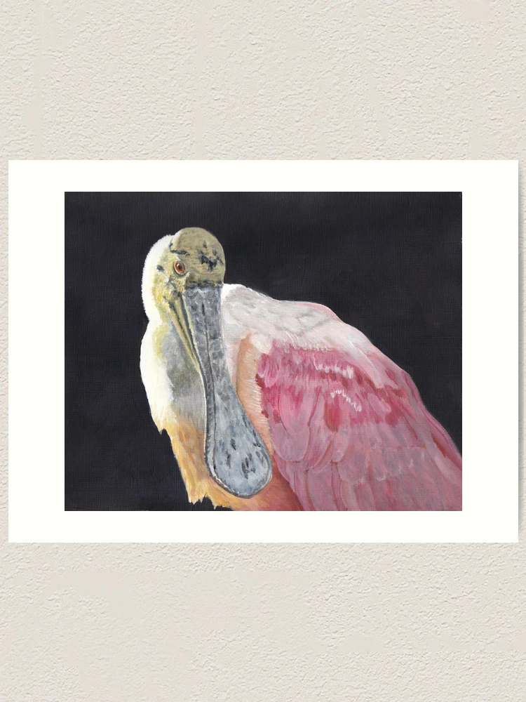 Roseate Spoonbill Art Print