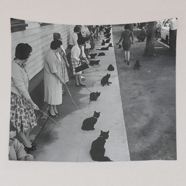 Item preview, Vintage Hollywood black cat auditions for Tales of Terror 1960's era movie funny black and white photograph designed and sold by Astrid Arkhangelsky.